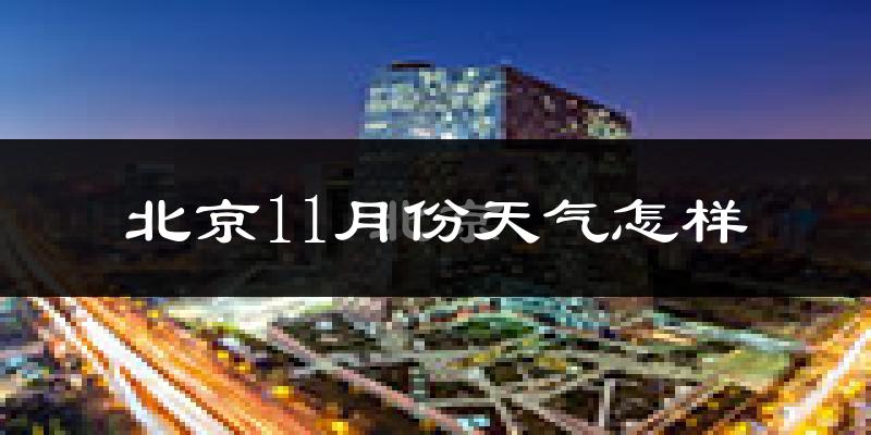 北京11月份天气怎样?北京十一月冷不冷?