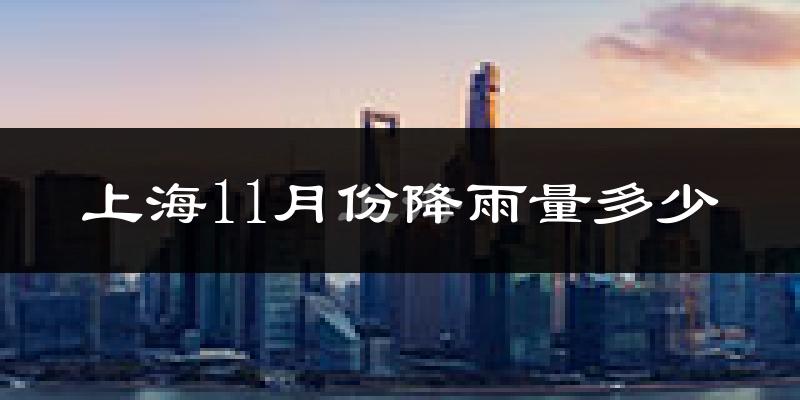 上海11月份降雨量多少?上海十一月下雨多吗?