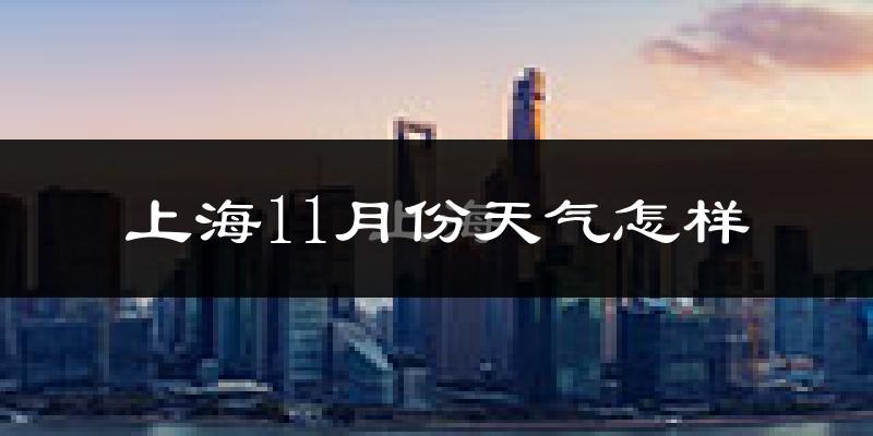 上海11月份天气怎样?上海十一月冷不冷?