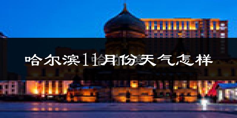 哈尔滨11月份天气怎样?哈尔滨十一月冷不冷?