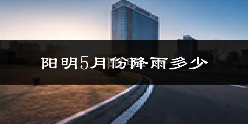 阳明5月份降雨多少?