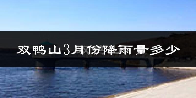 双鸭山3月份降雨量多少?双鸭山三月下雨多吗?