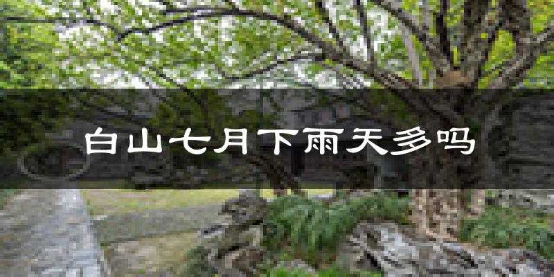白山七月下雨天多吗?白山7月份降雨量多少?
