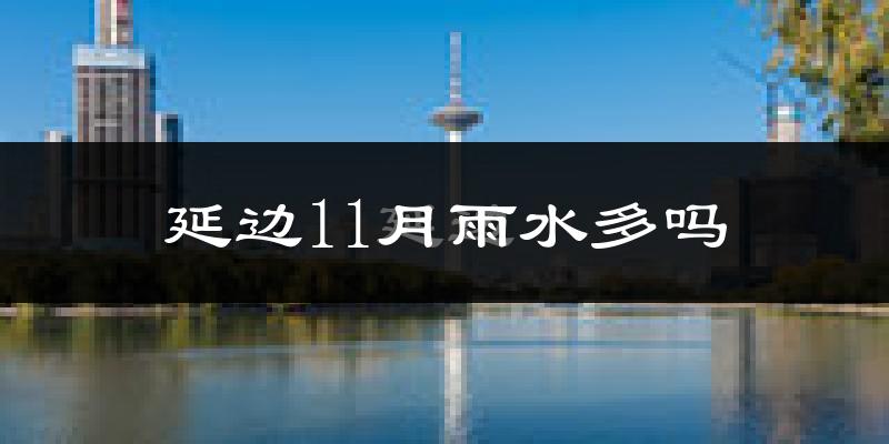 延边11月雨水多吗?