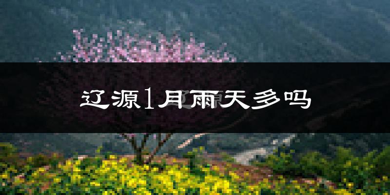 辽源1月雨天多吗?