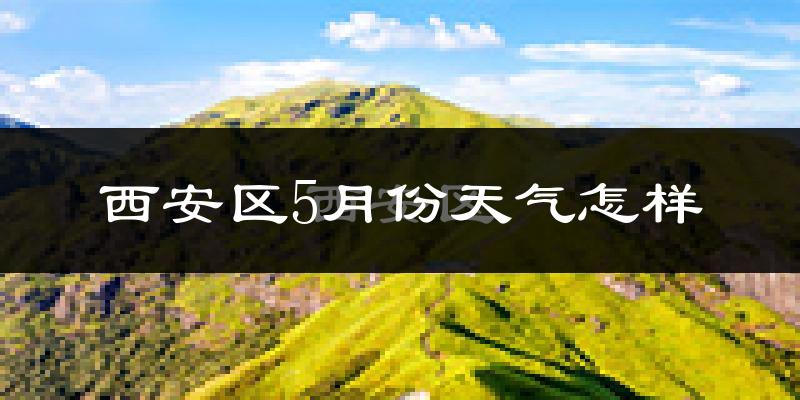 西安区5月份天气怎样?西安区五月冷不冷?