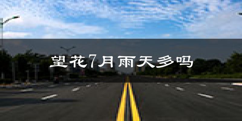 望花7月雨天多吗?