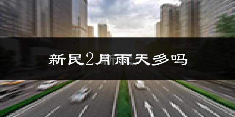 新民2月雨天多吗?