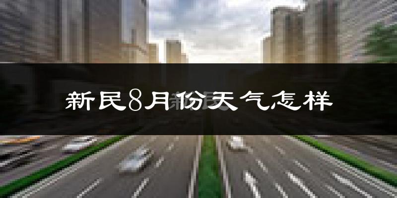 新民8月份天气怎样?新民八月热吗?