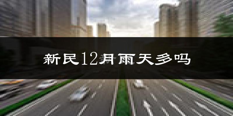新民12月雨天多吗?
