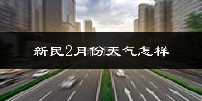 新民市2月份天气如何?很冷吗?