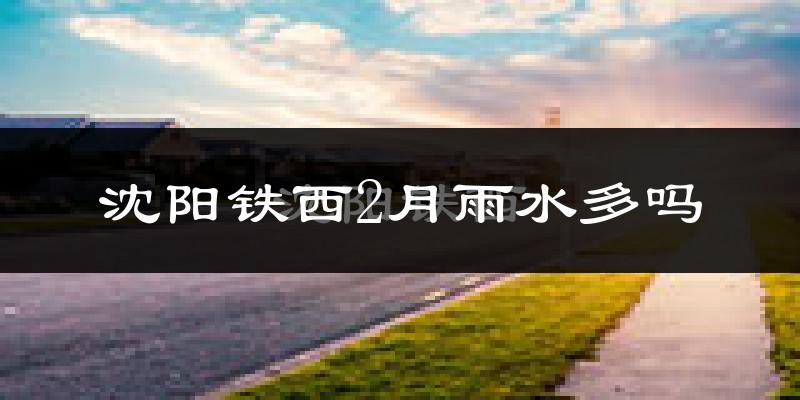 沈阳铁西2月雨水多吗?