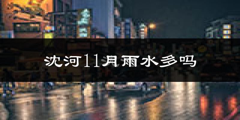 沈河11月雨水多吗?