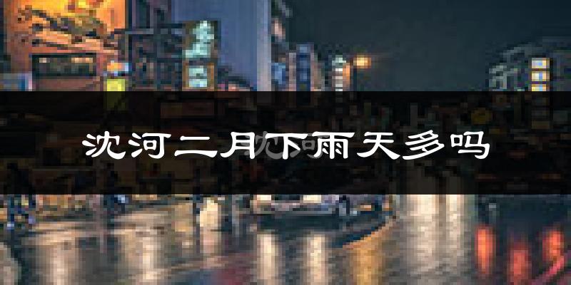 沈河二月下雨天多吗?沈河2月份降雨量多少?