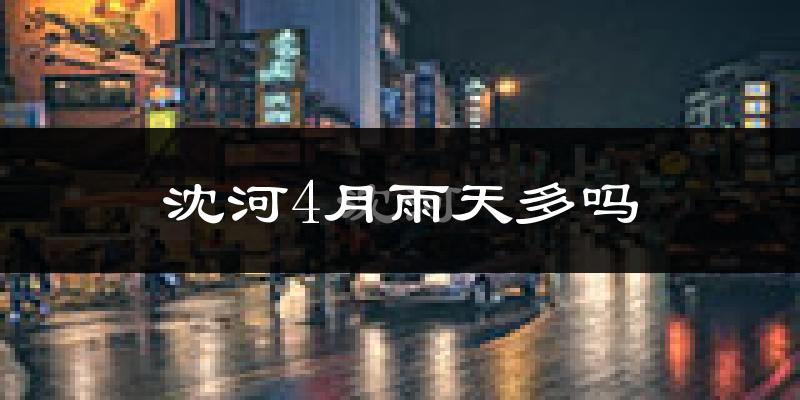 沈河4月雨天多吗?