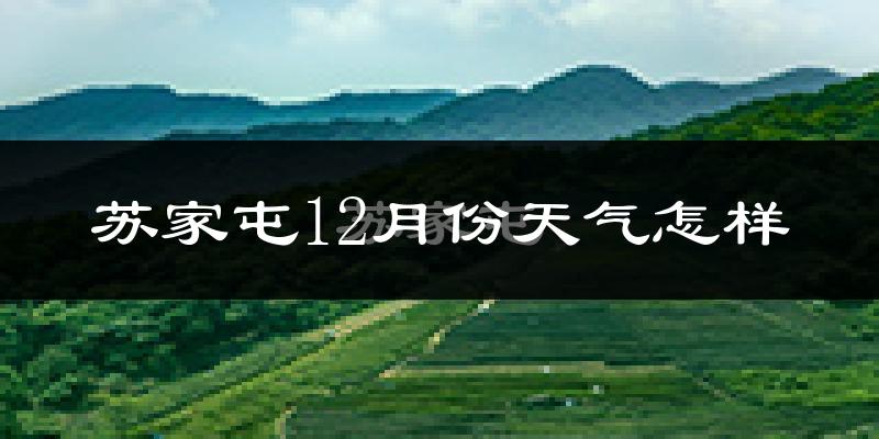 苏家屯12月份天气怎样?苏家屯十二月冷吗?