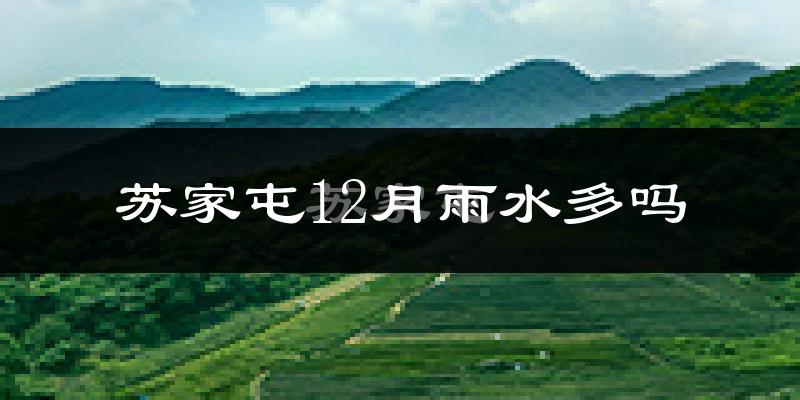 苏家屯12月雨水多吗?