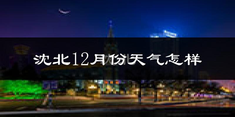 沈北12月份天气怎样?沈北十二月冷不冷?
