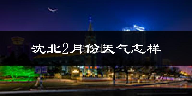 沈北2月份天气怎样?沈北二月冷不冷?