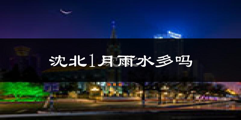 沈北1月雨水多吗?