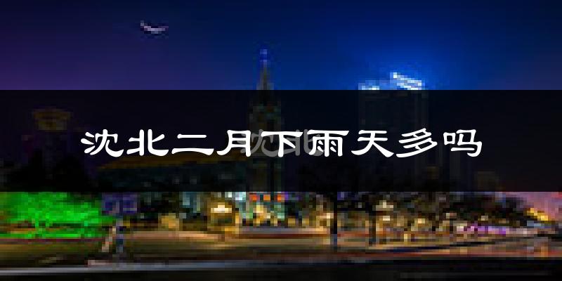 沈北二月下雨天多吗?沈北2月份降雨量多少?