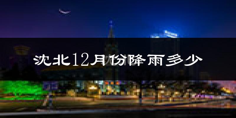 沈北12月份降雨多少?