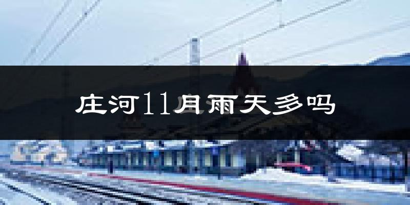 庄河11月雨天多吗?