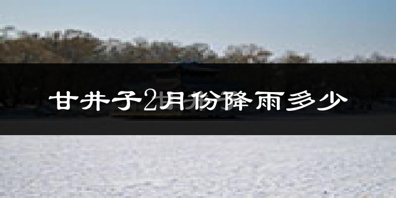 甘井子2月份降雨多少?