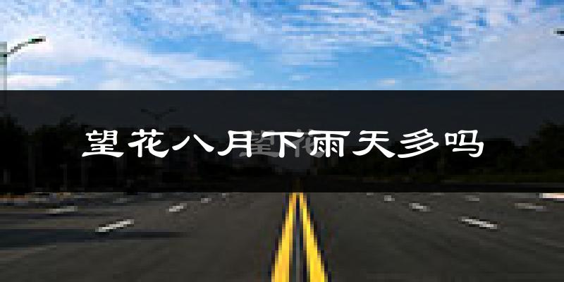 望花八月下雨天多吗?望花8月份降雨量多少?