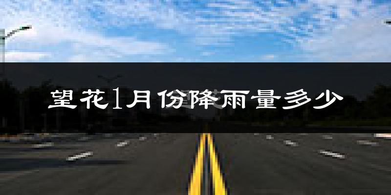 望花1月份降雨量多少?望花一月下雨多吗?