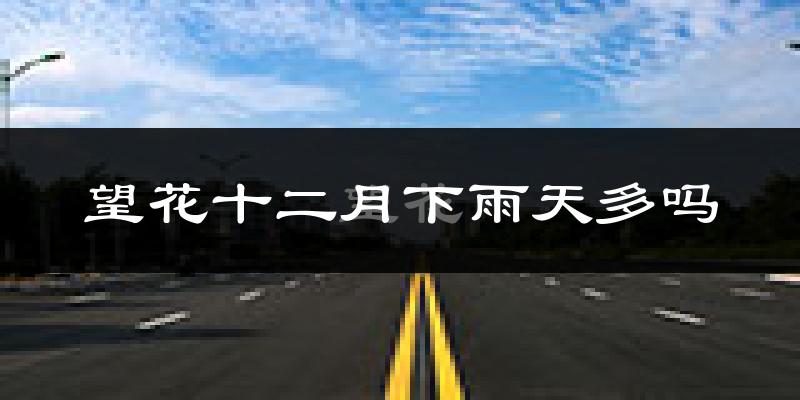 望花十二月下雨天多吗?望花12月份降雨量多少?