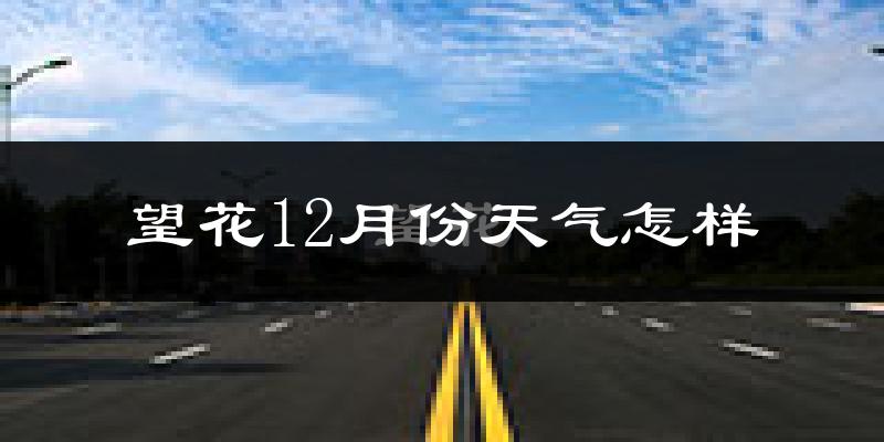望花12月份天气怎样?望花十二月冷吗?