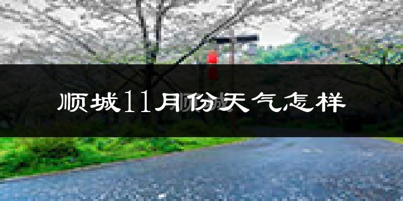 顺城11月份天气怎样?顺城十一月冷不冷?