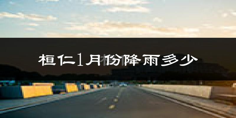 桓仁1月份降雨多少?