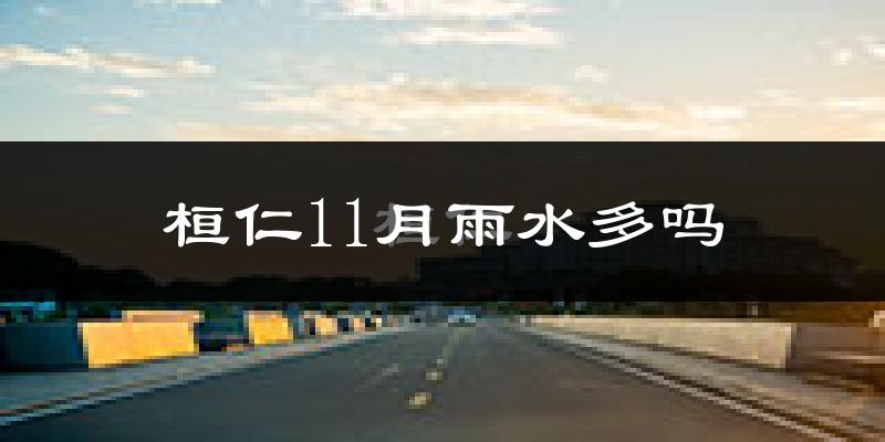 桓仁11月雨水多吗?