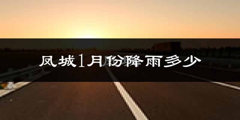 凤城1月份降雨多少?