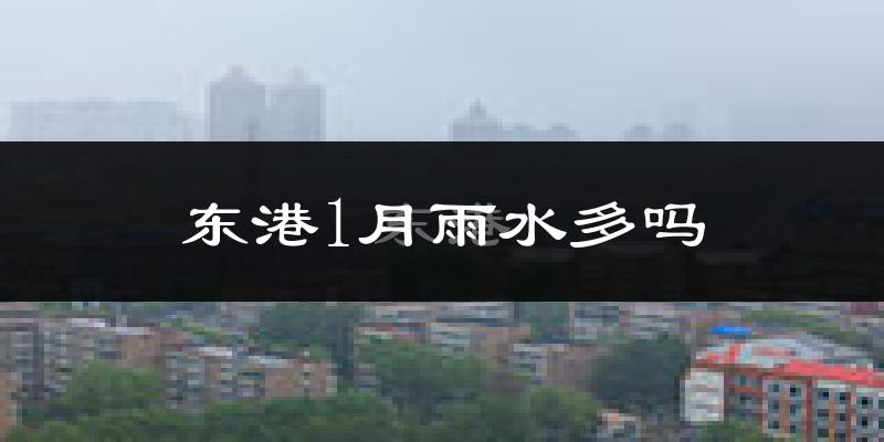 东港1月雨水多吗?