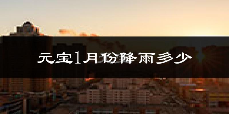 元宝1月份降雨多少?