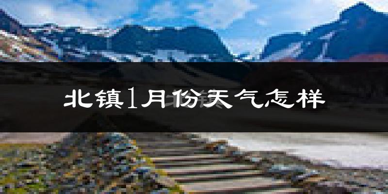 北镇市1月份天气如何?很冷吗?