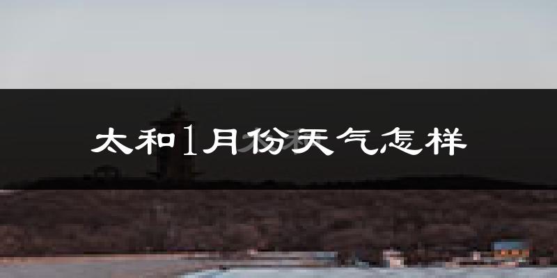 太和1月份天气怎样?太和一月冷吗?