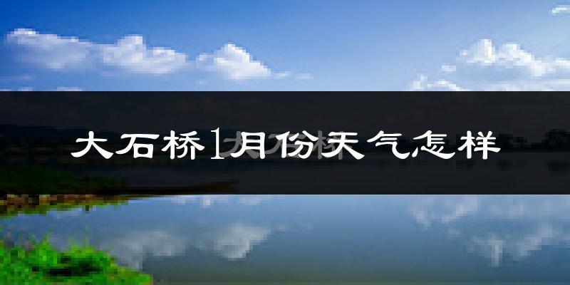大石桥市1月份天气如何?很冷吗?