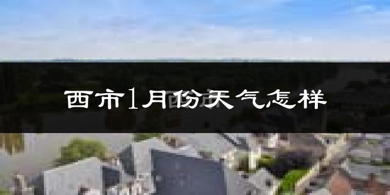 西市1月份天气怎样?西市一月冷吗?