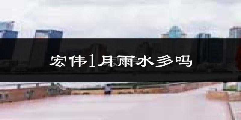 宏伟1月雨水多吗?