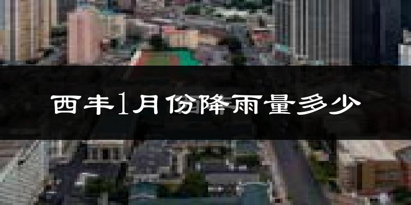 西丰1月份降雨量多少?西丰一月下雨多吗?