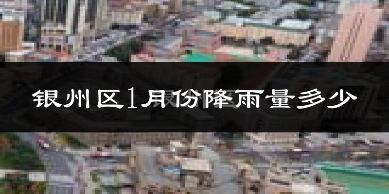 银州区1月份降雨量多少?银州区一月下雨多吗?