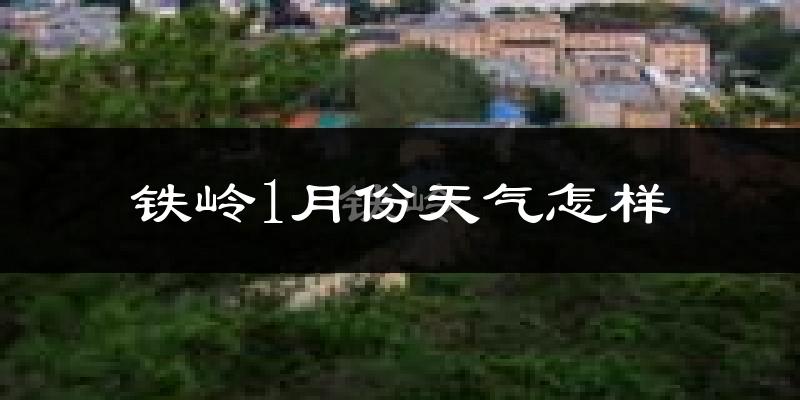 铁岭县1月份天气如何?很冷吗?