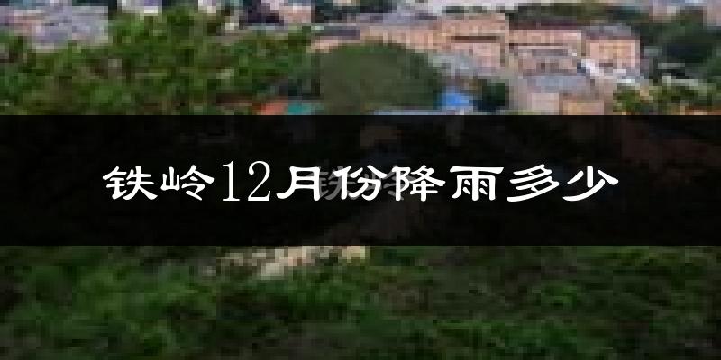 铁岭12月份降雨多少?