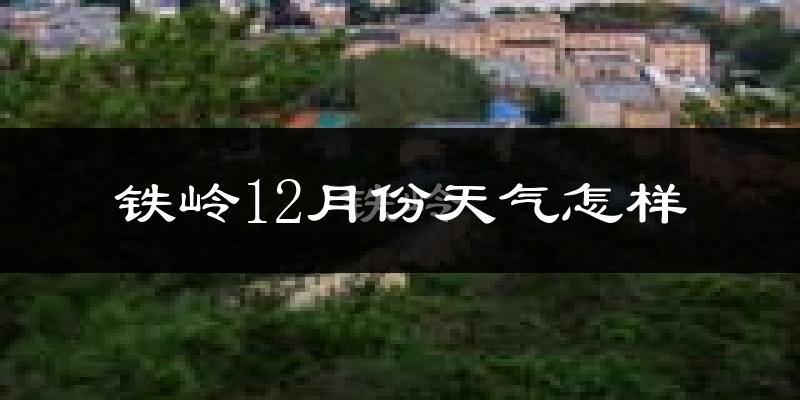 铁岭12月份天气怎样?铁岭十二月冷不冷?