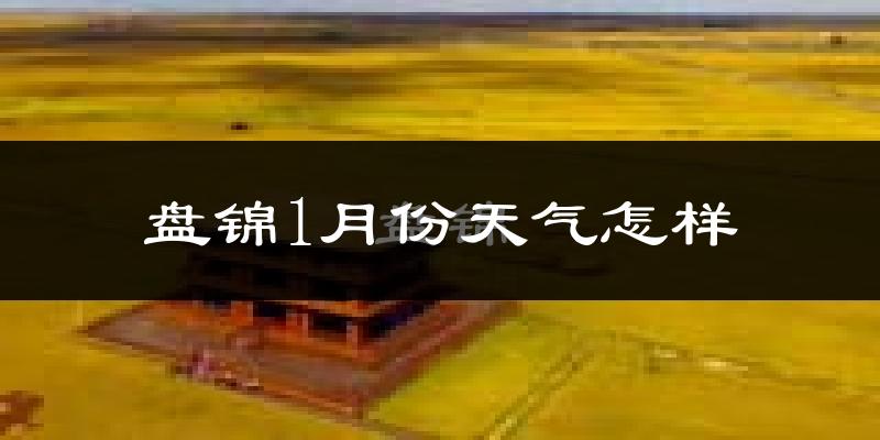 盘锦市1月份天气如何?很冷吗?