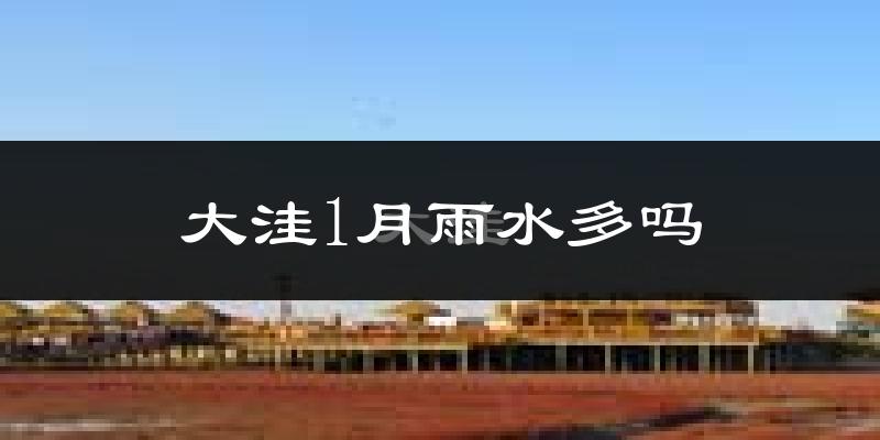 大洼1月雨水多吗?